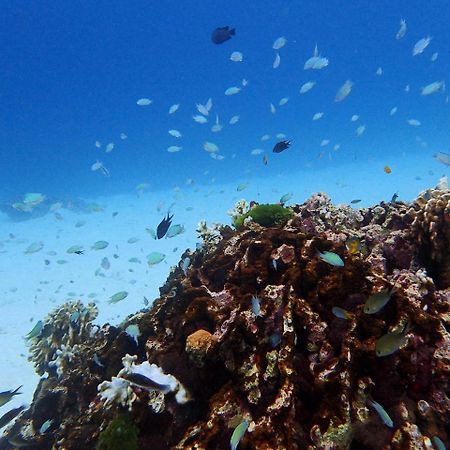 Villa Miracle Rawai المظهر الخارجي الصورة